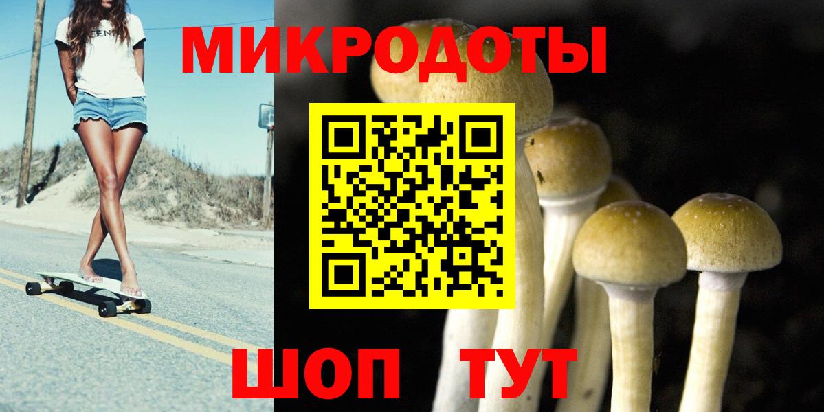 где можно купить   Вход с VPN  Богородицк  Псилоцибиновые грибы ЛСД  Псилоцибиновые грибы прущие грибы 